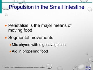 Propulsion in the Small Intestine
Slide
Copyright © 2003 Pearson Education, Inc. publishing as Benjamin Cummings
 Peristalsis is the major means of
moving food
 Segmental movements
Mix chyme with digestive juices
Aid in propelling food
 