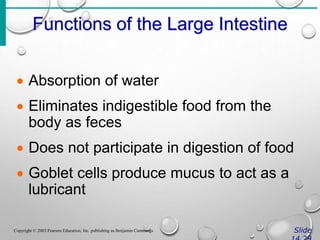 Functions of the Large Intestine
Slide
Copyright © 2003 Pearson Education, Inc. publishing as Benjamin Cummings
 Absorption of water
 Eliminates indigestible food from the
body as feces
 Does not participate in digestion of food
 Goblet cells produce mucus to act as a
lubricant
 