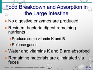 Food Breakdown and Absorption in
the Large Intestine
Slide
Copyright © 2003 Pearson Education, Inc. publishing as Benjamin Cummings
 No digestive enzymes are produced
 Resident bacteria digest remaining
nutrients
Produce some vitamin K and B
Release gases
 Water and vitamins K and B are absorbed
 Remaining materials are eliminated via
feces
 
