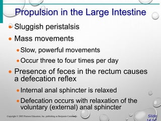 Propulsion in the Large Intestine
Slide
Copyright © 2003 Pearson Education, Inc. publishing as Benjamin Cummings
 Sluggish peristalsis
 Mass movements
Slow, powerful movements
Occur three to four times per day
 Presence of feces in the rectum causes
a defecation reflex
Internal anal sphincter is relaxed
Defecation occurs with relaxation of the
voluntary (external) anal sphincter
 