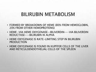 BILIRUBIN METABOLISM
• FORMED BY BREAKDOWN OF HEME (80% FROM HEMOGLOBIN,
20% FROM OTHER HEMOPROTEINS)
• HEME –VIA HEME OXYGENASE—BILIVERDIN---VIA BILIVERDIN
REDUCTASE---BILIRUBIN IX ALPHA
• HEME OXYGENASE IS RATE-LIMITING STEP IN BILIRUBIN
PRODUCTION
• HEME OXYGENASE IS FOUND IN KUPFFER CELLS OF THE LIVER
AND RETICULOENDOTHELIAL CELLS OF THE SPLEEN
 