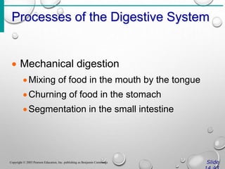 Processes of the Digestive System
Slide
Copyright © 2003 Pearson Education, Inc. publishing as Benjamin Cummings
 Mechanical digestion
Mixing of food in the mouth by the tongue
Churning of food in the stomach
Segmentation in the small intestine
 