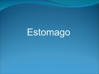 Estomago  