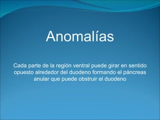 Anomalías Cada parte de la región ventral puede girar en sentido opuesto alrededor del duodeno formando el páncreas anular que puede obstruir el duodeno 