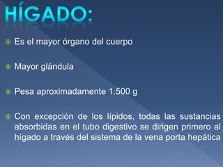  Es el mayor órgano del cuerpo
 Mayor glándula
 Pesa aproximadamente 1.500 g
 Con excepción de los lípidos, todas las sustancias
absorbidas en el tubo digestivo se dirigen primero al
hígado a través del sistema de la vena porta hepática
 