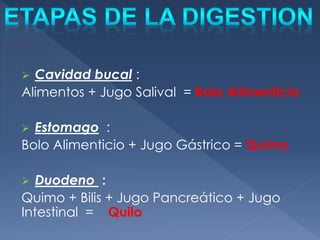  Cavidad bucal :
Alimentos + Jugo Salival = Bolo Alimenticio
 Estomago :
Bolo Alimenticio + Jugo Gástrico = Quimo
 Duodeno :
Quimo + Bilis + Jugo Pancreático + Jugo
Intestinal = Quilo
 
