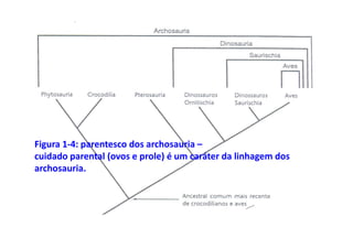 Figura 1-4: parentesco dos archosauria –
cuidado parental (ovos e prole) é um caráter da linhagem dos
archosauria.
 