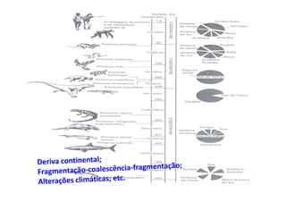 Ap diversidade vertebrados
