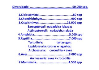 Diversidade: ................................................50.000 spp.

     1.Ciclostomata.......................................80 spp
     2.Chondrichthyes.................................900 spp
     3.Osteichthyes................................25.000 spp
            Sarcopterygii: nadadeira lobada;
            Actinopterygii: nadadeira raiada
     4.Amphibia........................................5.000 spp
     5.Reptillia..........................................7.000 spp
             Testudinia:                    tartarugas;
             Lepidosauria: cobras e lagartos;
             Archosauria: crocodilia + aves
     6.Aves...............................................9.000 spp
               Archosauria: aves + crocodilia
     7.Mammalia.....................................4.500 spp
 