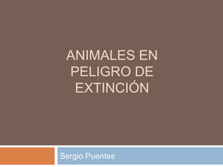 ANIMALES EN
 PELIGRO DE
  EXTINCIÓN



Sergio Puentes
 