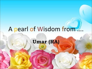 A  p earl  o f  W isdom  f rom …. Umar (RA) 