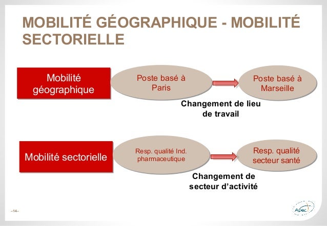 Apec Mobilite Professionnelle Des Cadres Quels Enjeux Pour Les En