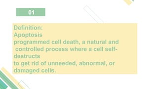 Apoptosis Definition APECTOSIS-VS-NECROSIS: UNDERSTANDING OF CELL DEATH.pptx