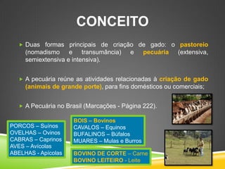 CONCEITO 
Duas formas principais de criação de gado: o pastoreio (nomadismo e transumância) e pecuária (extensiva, semiextensiva e intensiva). 
A pecuária reúne as atividades relacionadas à criação de gado (animais de grande porte), para fins domésticos ou comerciais; 
A Pecuária no Brasil (Marcações - Página 222). 
BOIS – Bovinos CAVALOS – Equinos BUFALINOS – Búfalos MUARES – Mulas e Burros 
PORCOS – Suínos OVELHAS – Ovinos CABRAS – Caprinos AVES – Avícolas ABELHAS - Apícolas 
BOVINO DE CORTE – Carne BOVINO LEITEIRO - Leite  