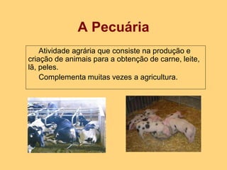 A Pecuária
Atividade agrária que consiste na produção e
criação de animais para a obtenção de carne, leite,
lã, peles.
Complementa muitas vezes a agricultura.
 