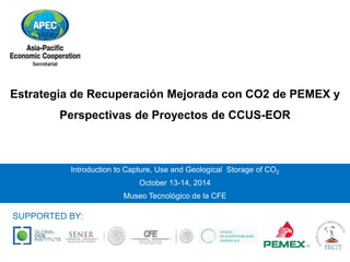 Estrategia de Recuperación Mejorada con CO2 de PEMEX y 
Perspectivas de Proyectos de CCUS-EOR 
Introduction to Capture, Use and Geological Storage of CO2 
October 13-14, 2014 
Museo Tecnológico de la CFE 
SUPPORTED BY: 
 
