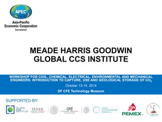 MEADE HARRIS GOODWIN 
GLOBAL CCS INSTITUTE 
WORKSHOP FOR CIVIL, CHEMICAL, ELECTRICAL, ENVIRONMENTAL AND MECHANICAL 
ENGINEERS: INTRODUCTION TO CAPTURE, USE AND GEOLOGICAL STORAGE OF CO2 
October 13-14, 2014 
DF CFE Technology Museum 
SUPPORTED BY: 
 