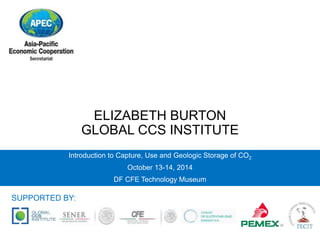 ELIZABETH BURTON 
GLOBAL CCS INSTITUTE 
Introduction to Capture, Use and Geologic Storage of CO2 
October 13-14, 2014 
DF CFE Technology Museum 
SUPPORTED BY: 
 