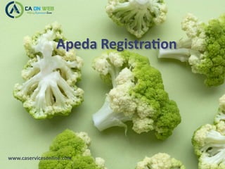 www.caservicesonline.com
Apeda Registration
 