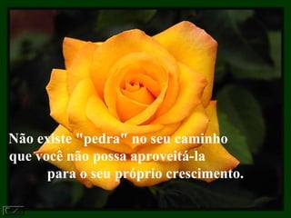 Não existe "pedra" no seu caminho
que você não possa aproveitá-la
para o seu próprio crescimento.
 