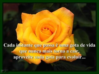 Cada instante que passa é uma gota de vidaCada instante que passa é uma gota de vida
que nunca mais torna a caír,que nunca mais torna a caír,
aproveite cada gota para evoluir...aproveite cada gota para evoluir...
 