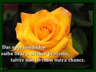 Das oportunidadesDas oportunidades
saiba tirar o melhor proveito,saiba tirar o melhor proveito,
talvez não teremos outra chance.talvez não teremos outra chance.
 