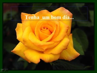 Tenha  um bom dia... 