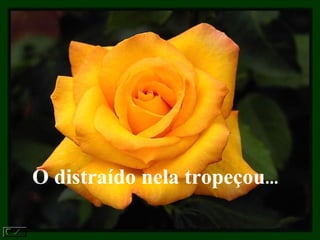 O distraído nela tropeçou ... 