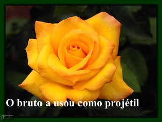 O bruto a usou como projétil . 