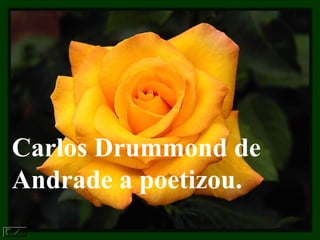 Carlos Drummond de Andrade a poetizou.   