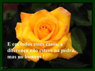 E em todos esses casos, a diferença não esteve na pedra, mas no homem ! 