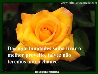 BY LINCOLN FERREIRA  Das oportunidades saiba tirar o melhor proveito, talvez não teremos outra chance.  www.otimismoemrede.com 