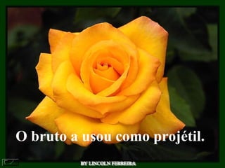 BY LINCOLN FERREIRA  O bruto a usou como projétil.  