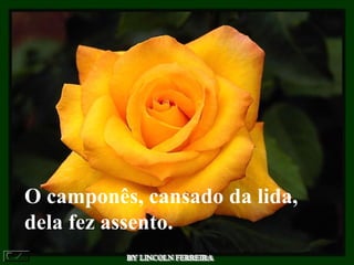 BY LINCOLN FERREIRA  O camponês, cansado da lida, dela fez assento.  