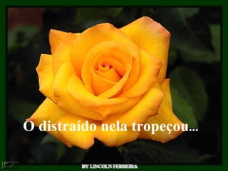 BY LINCOLN FERREIRA  O distraído nela tropeçou ... 