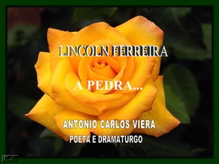 LINCOLN FERREIRA  A PEDRA...   ANTONIO CARLOS VIERA  POETA E DRAMATURGO 