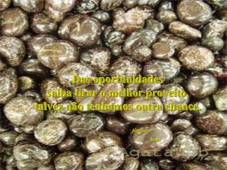 Das oportunidades
   saiba tirar o melhor proveito,
talvez não tenhamos outra chance.
                   Abraços
                             Irene
 
