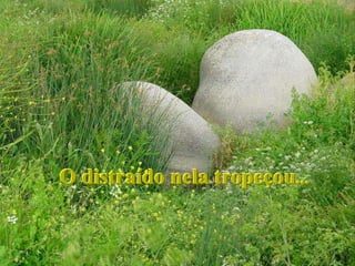 O distraído nela tropeçou...
 