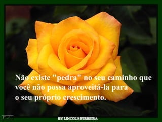 Não existe "pedra" no seu caminho que
você não possa aproveitá-la para
o seu próprio crescimento.
 