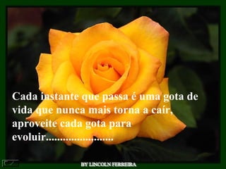 Cada instante que passa é uma gota de
vida que nunca mais torna a caír,
aproveite cada gota para
evoluir........................
 