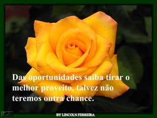 Das oportunidades saiba tirar o
melhor proveito, talvez não
teremos outra chance.
 