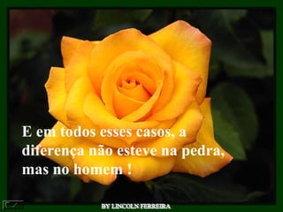 E em todos esses casos, a
diferença não esteve na pedra,
mas no homem !
 