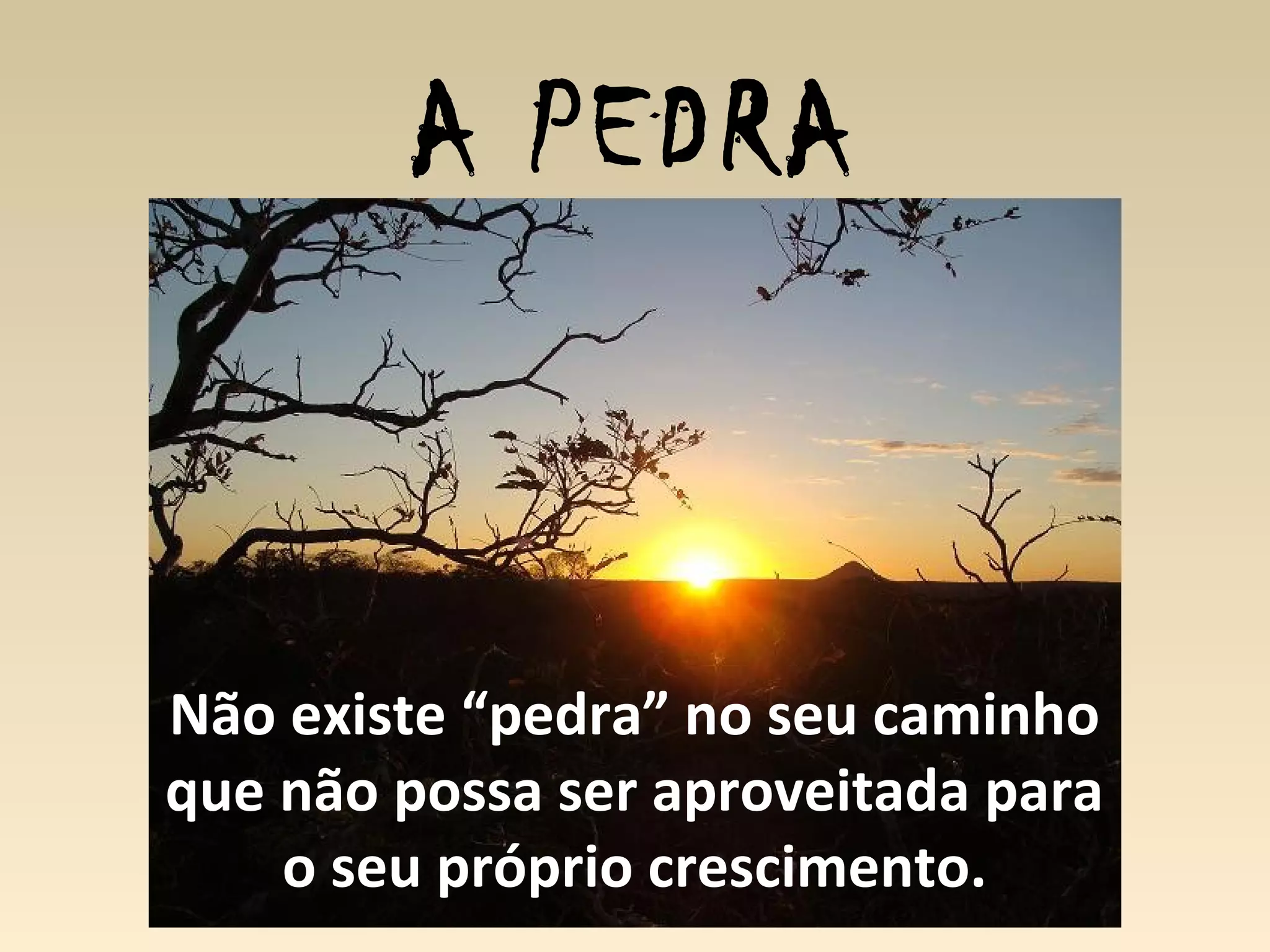 A PEDRA
Não existe “pedra” no seu caminho
que não possa ser aproveitada para
o seu próprio crescimento.