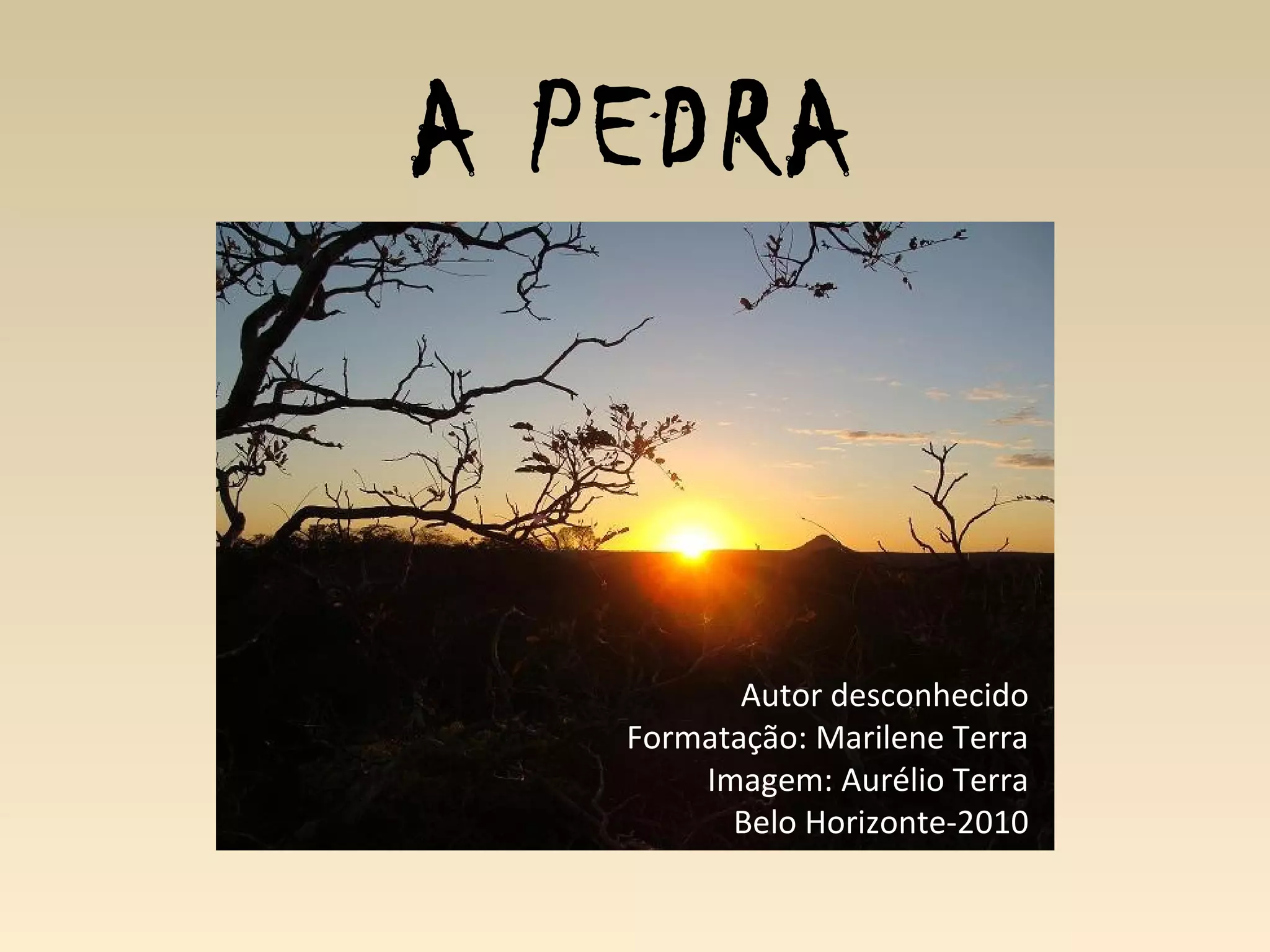 A PEDRA
Autor desconhecido
Formatação: Marilene Terra
Imagem: Aurélio Terra
Belo Horizonte-2010