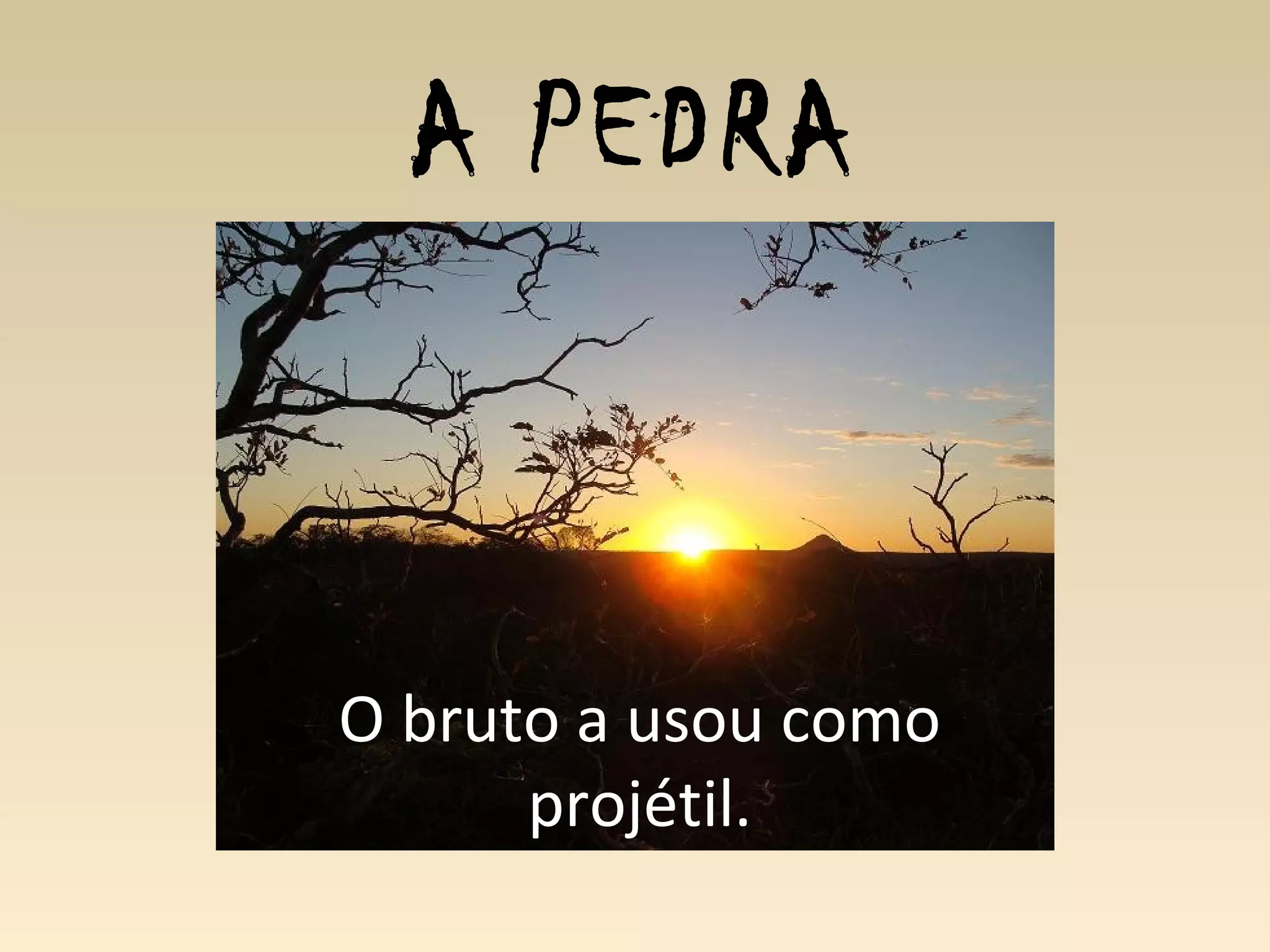 A PEDRA
O bruto a usou como
projétil.