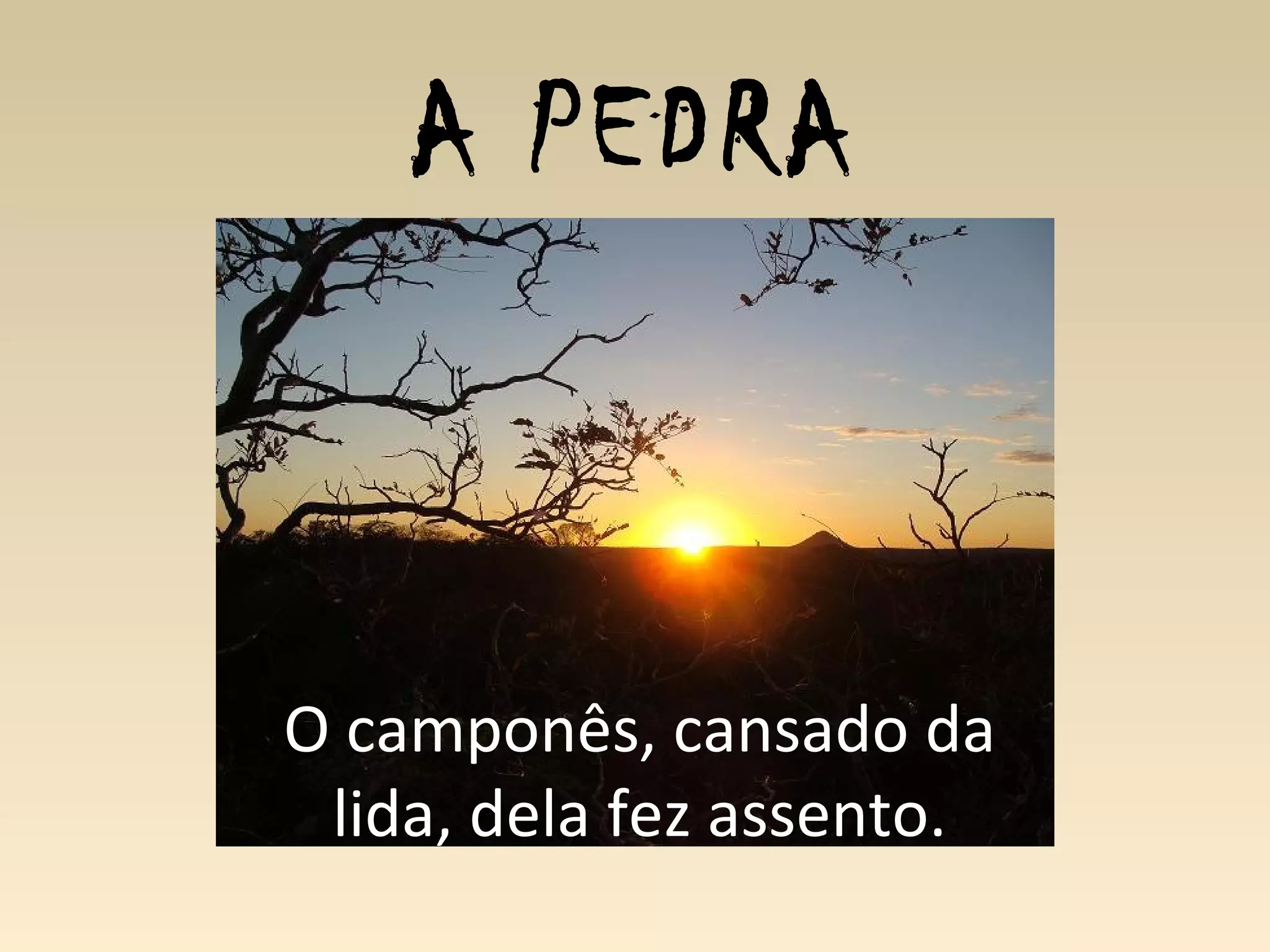 A PEDRA
O camponês, cansado da
lida, dela fez assento.