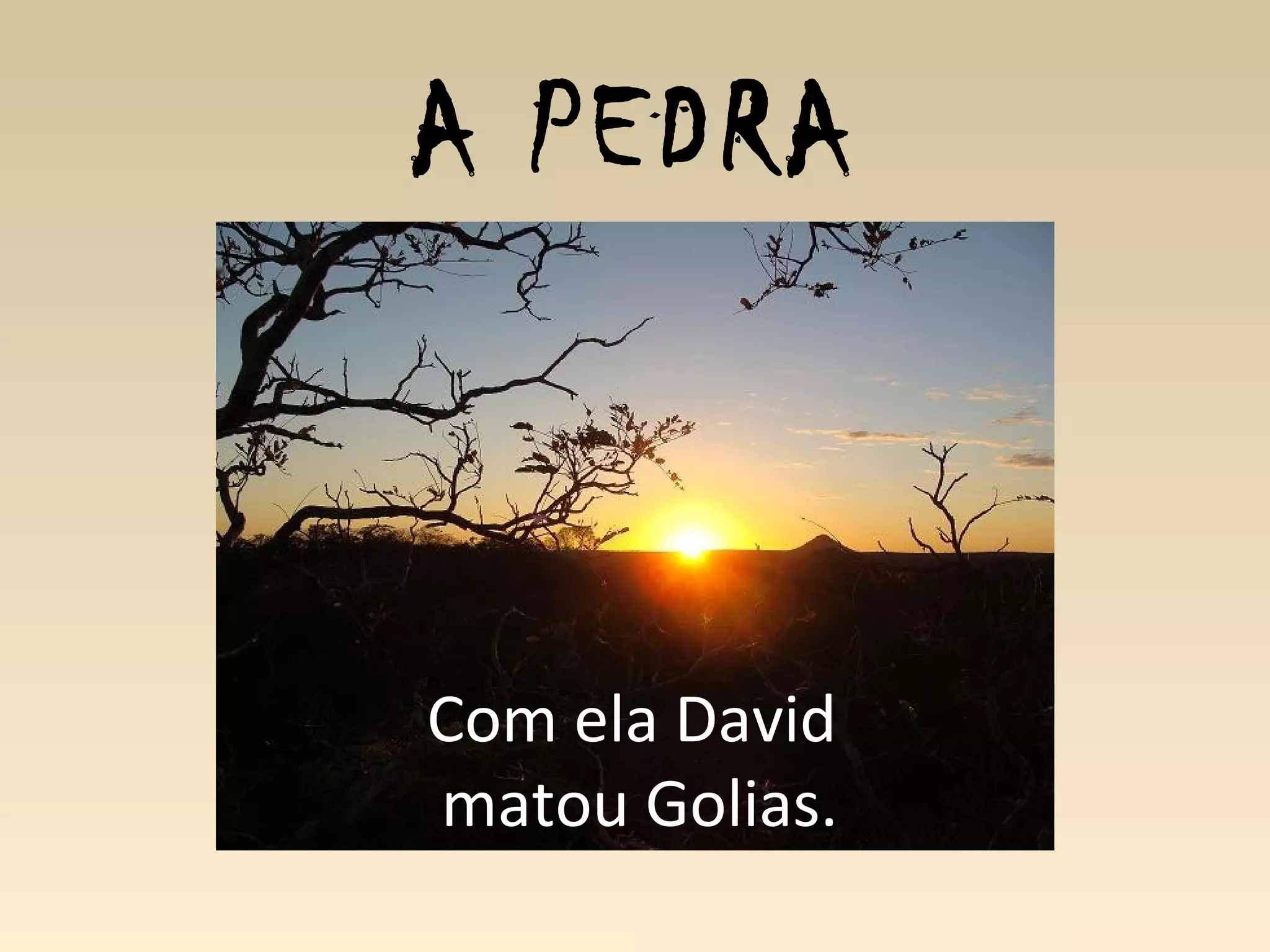 A PEDRA
Com ela David
matou Golias.