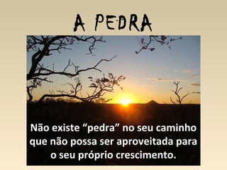 A PEDRA
Não existe “pedra” no seu caminho
que não possa ser aproveitada para
o seu próprio crescimento.
 