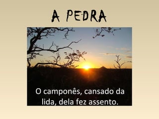 A PEDRA
O camponês, cansado da
lida, dela fez assento.
 