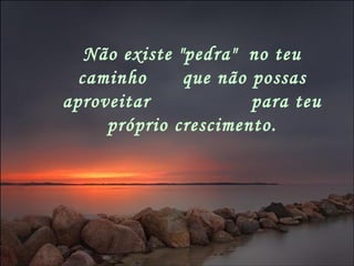 Não existe "pedra" no teu
caminho que não possas
aproveitar para teu
próprio crescimento.
 